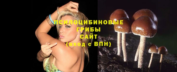 СК Абдулино