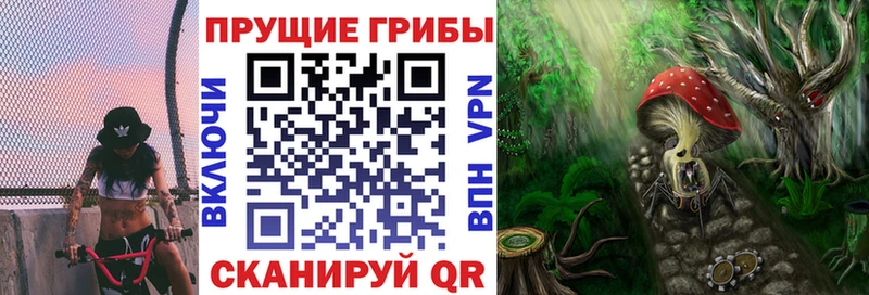 Галлюциногенные грибы Psilocybine cubensis  площадка формула  Азнакаево 